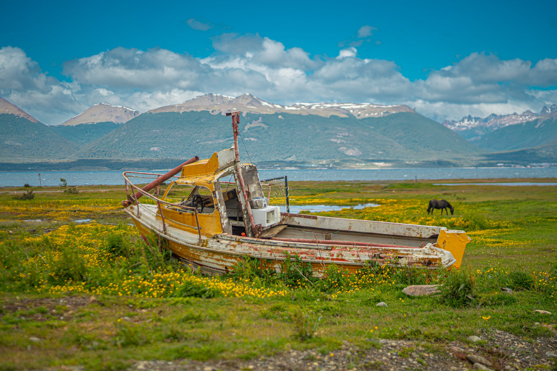 Fishing boat in the flowers · Tierra del Fuego