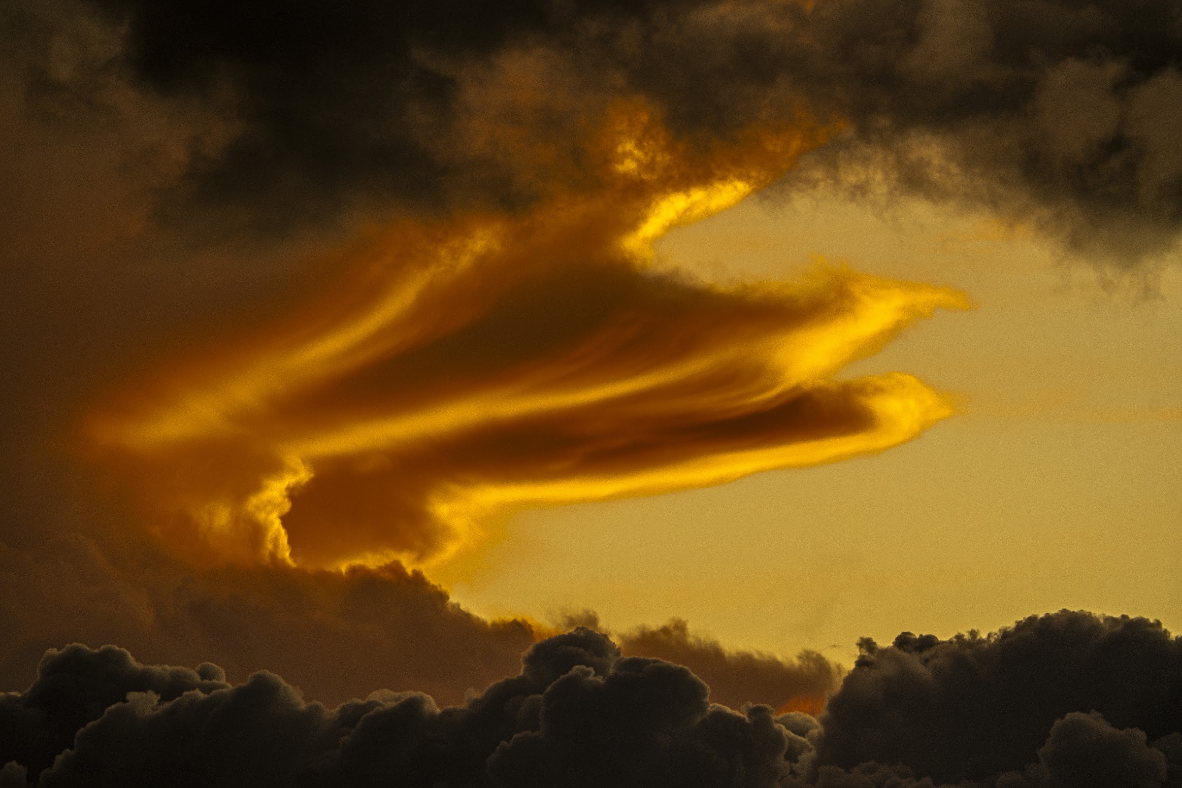 Evening cloud